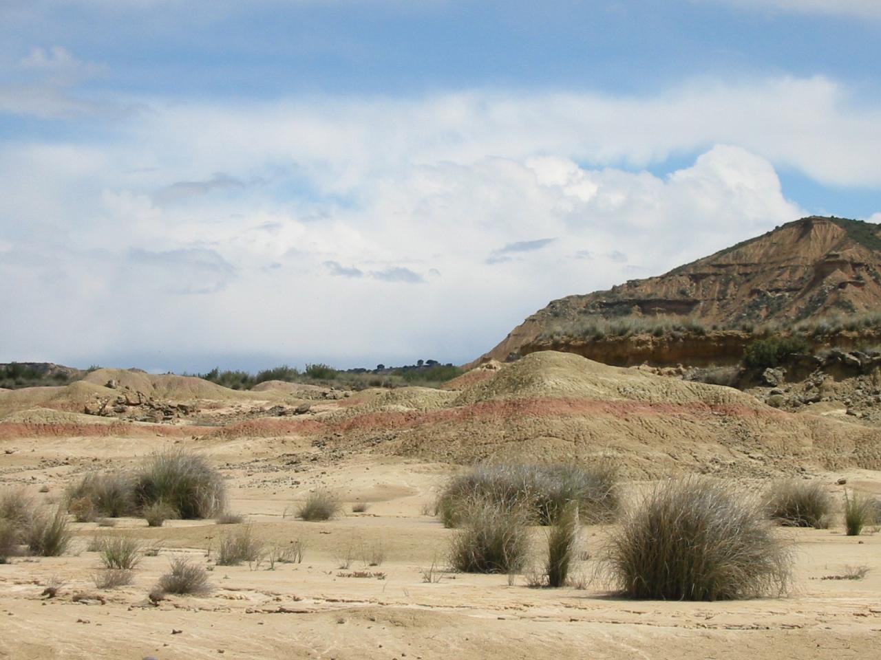 Bardenas Reales 2012 025